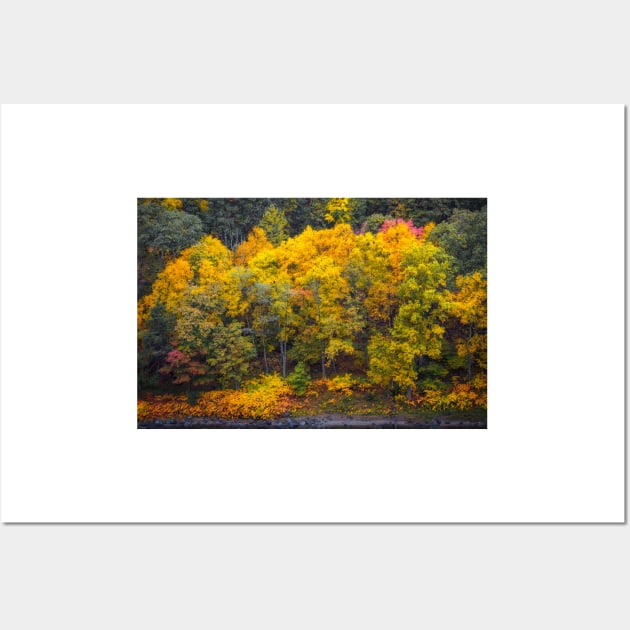 Fall Color along the  Delaware River Wall Art by jforno